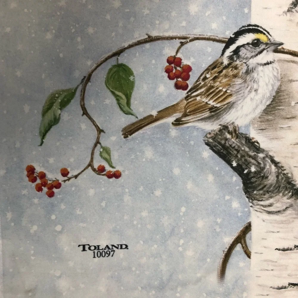 Toland Cardinal Winter Snow Birds Full Size Flag - Picture 9 of 9
